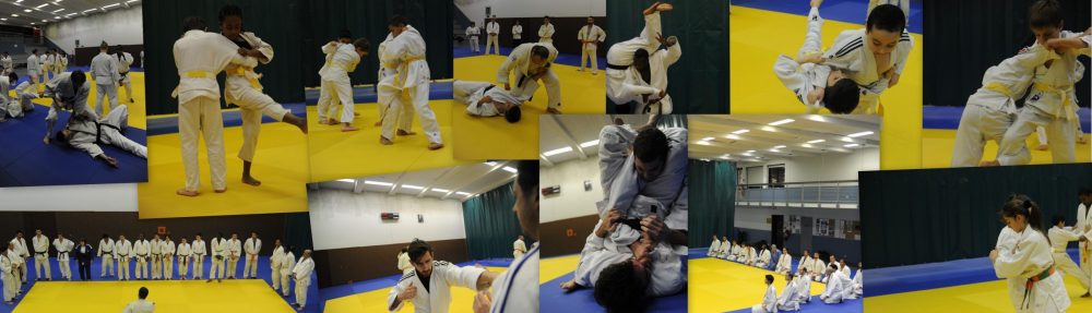 USF JUDO JUJITSU